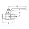 Ball valve Type: 1601 Brass Internal thread (BSPP)/External thread (BSPT) PN16 to PN80